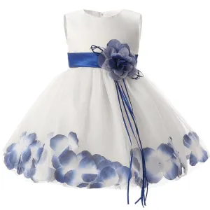 Blue Petals Flower Dress, Size 6M-24M