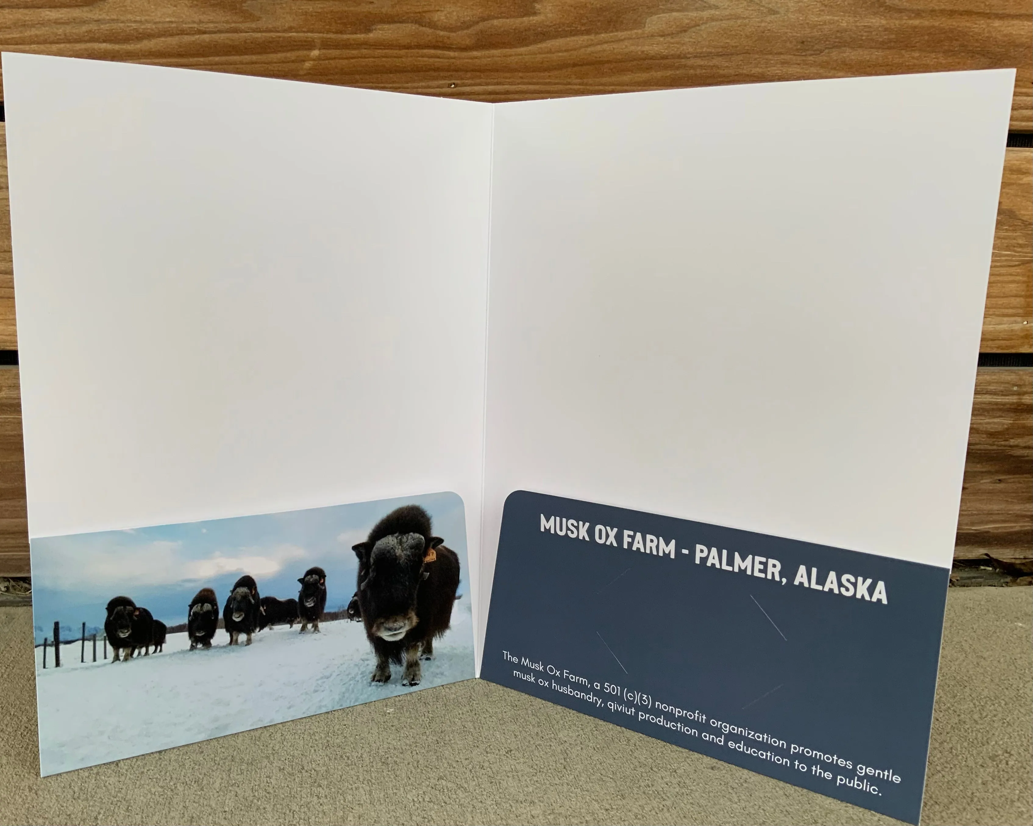 Musk Ox Folder