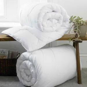 Queen Winter Quilt (1141)- 9TOGS