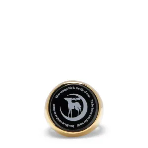 UCZ4R01-2 RING