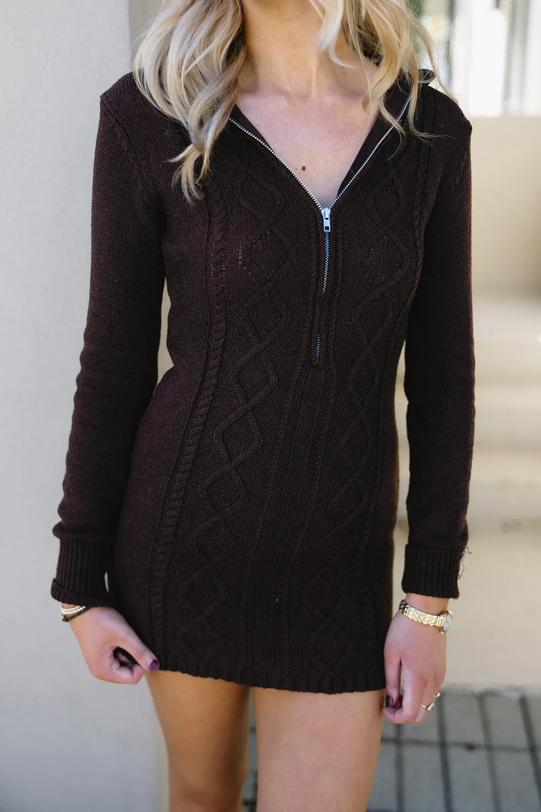 Wrenley Mini Dress - Brown